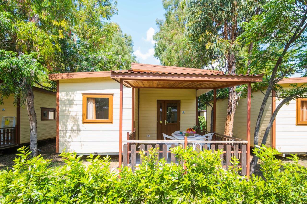 Camping Le Palme Marina Di Bibbona Exteriör bild