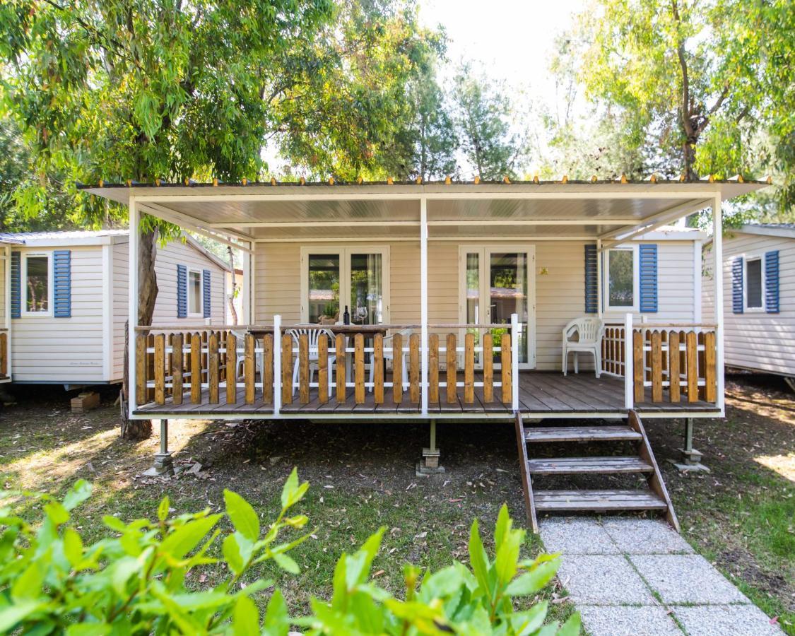 Camping Le Palme Marina Di Bibbona Exteriör bild